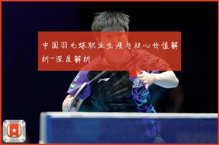 中国羽毛球职业生涯与核心价值解析-深度解析