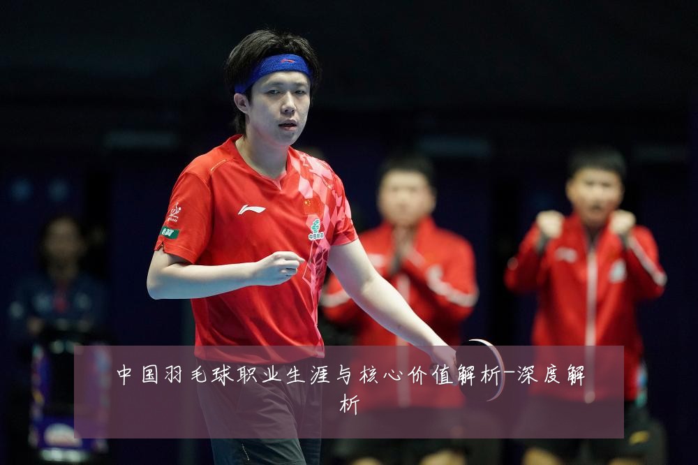 中国羽毛球职业生涯与核心价值解析-深度解析
